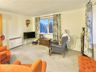 Picture 8